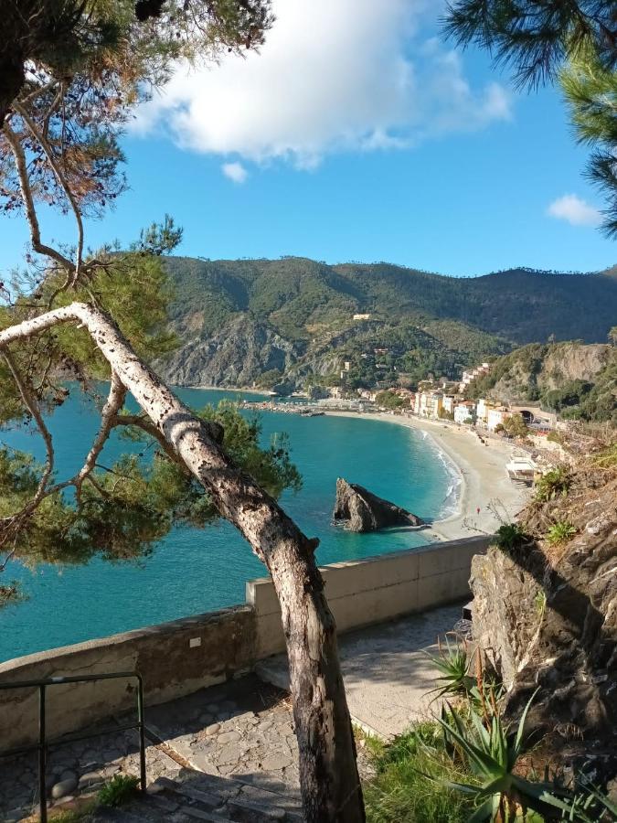 Apartament Casa Acciughina Monterosso al Mare Zewnętrze zdjęcie
