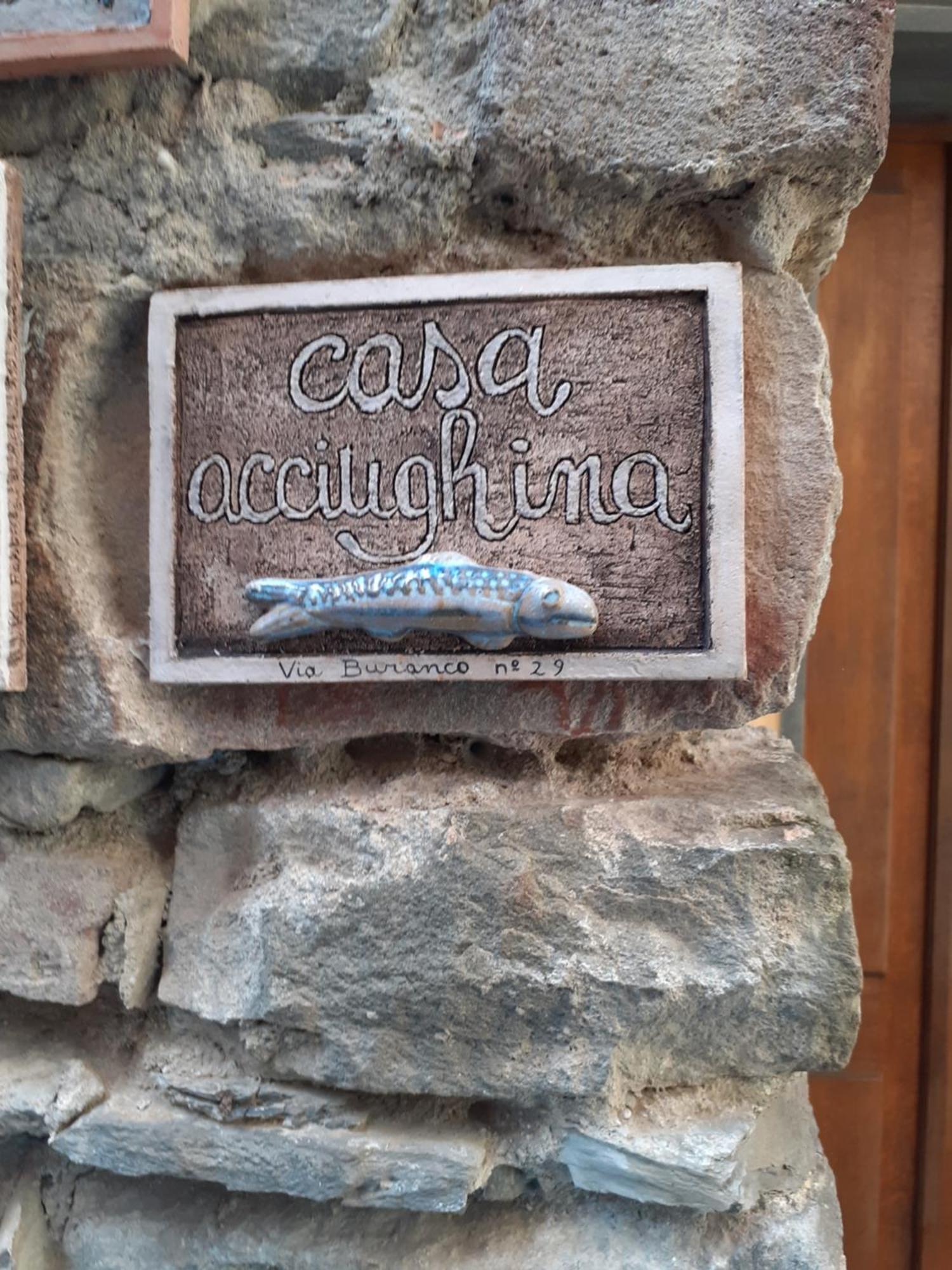 Apartament Casa Acciughina Monterosso al Mare Zewnętrze zdjęcie